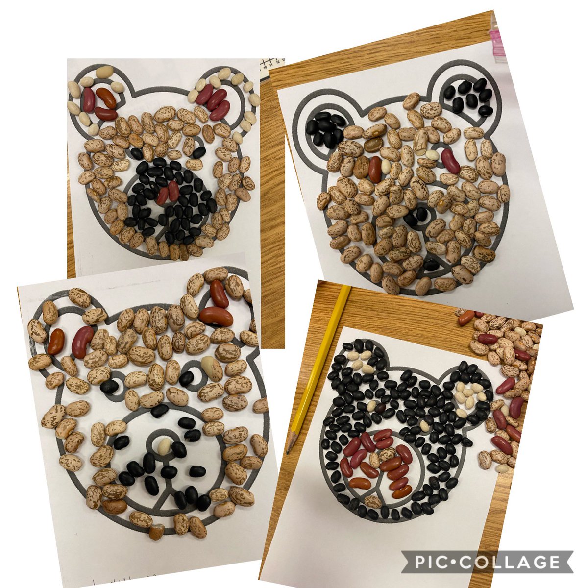 Robin Acker tweet media