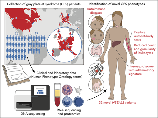 Novel manifestations of immune dysregulation and granule defects in gray platelet syndrome ow.ly/taIU50C3Wzx
