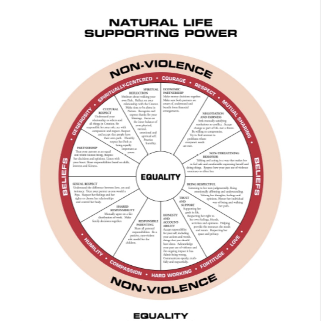USETINC's tweet photo. Ending domestic violence against Native women is based on reclaiming Indigenous values & lifeways. Equality is at the center of all healthy relationships. Equality means power-sharing, not holding power over another. Explore the Equality Wheel: https://t.co/glOS2vcfim #NativeDVAM https://t.co/JWb2MoulHv
