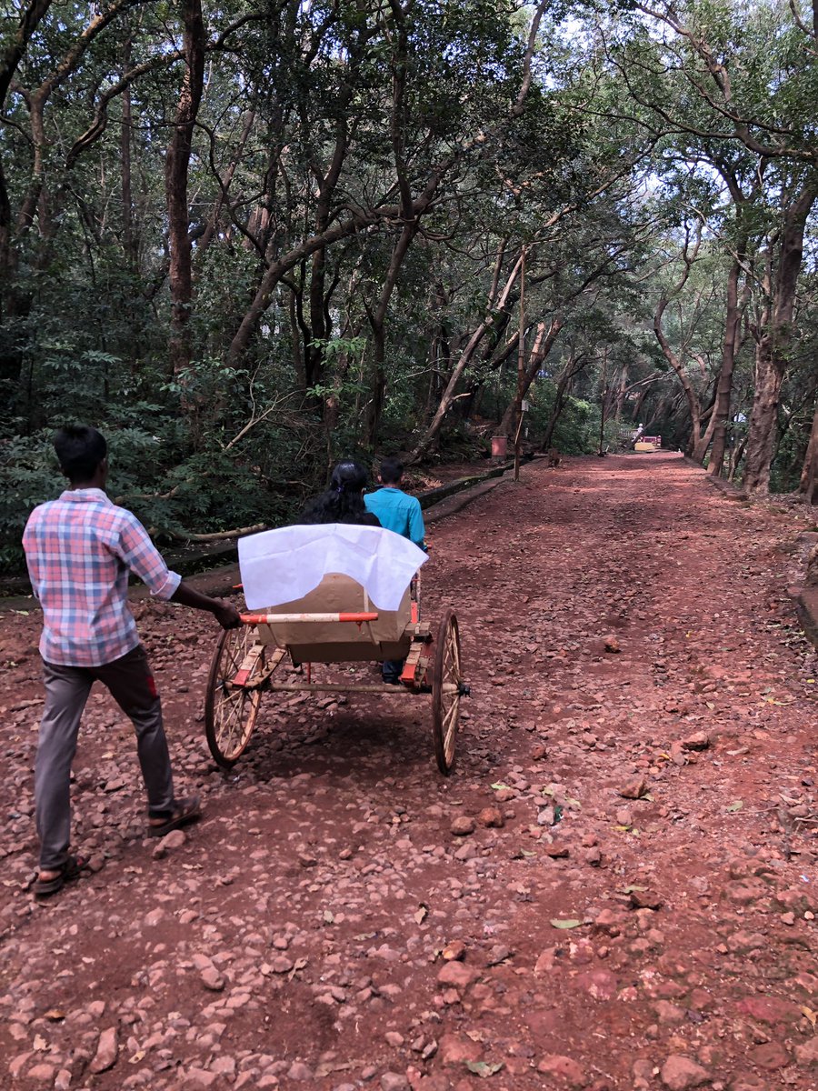 Once we reach the point till vehicles are allowed, need to get entry tickets and then embark on a 45-60 min journey by foot. Options of horse  ride or manually pulled rickshaws are available. There are no roads and you feel like walking thru a jungle.  #Matheran  #Nature (4)
