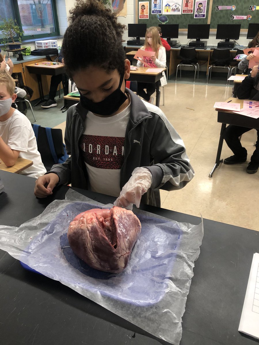 PatFreyTrinity's tweet photo. Cow heart time of the year ! https://t.co/6PfixZ2740
