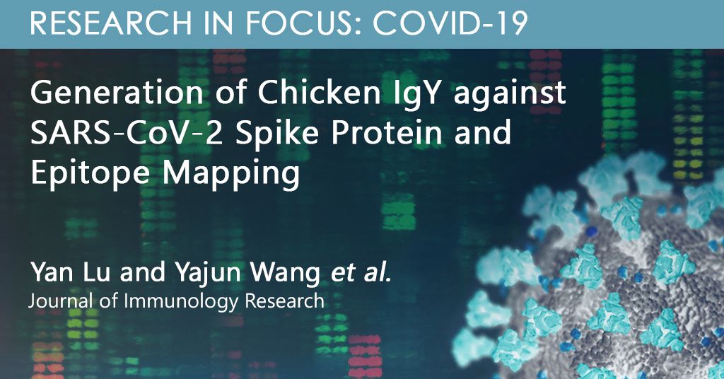 PEPperCHIP's tweet image. Paper feature: Lu &amp;amp; Wang et al. investigated the immunoreactivity of chicken IgY generated against #SARSCoV2 spike protein &amp;amp; identified multiple SARS-CoV-2 specific &amp;amp; SARS-CoV cross-reactive #epitopes w/ #peptidemicroarrays. Read the paper here: buff.ly/3kCJjcb