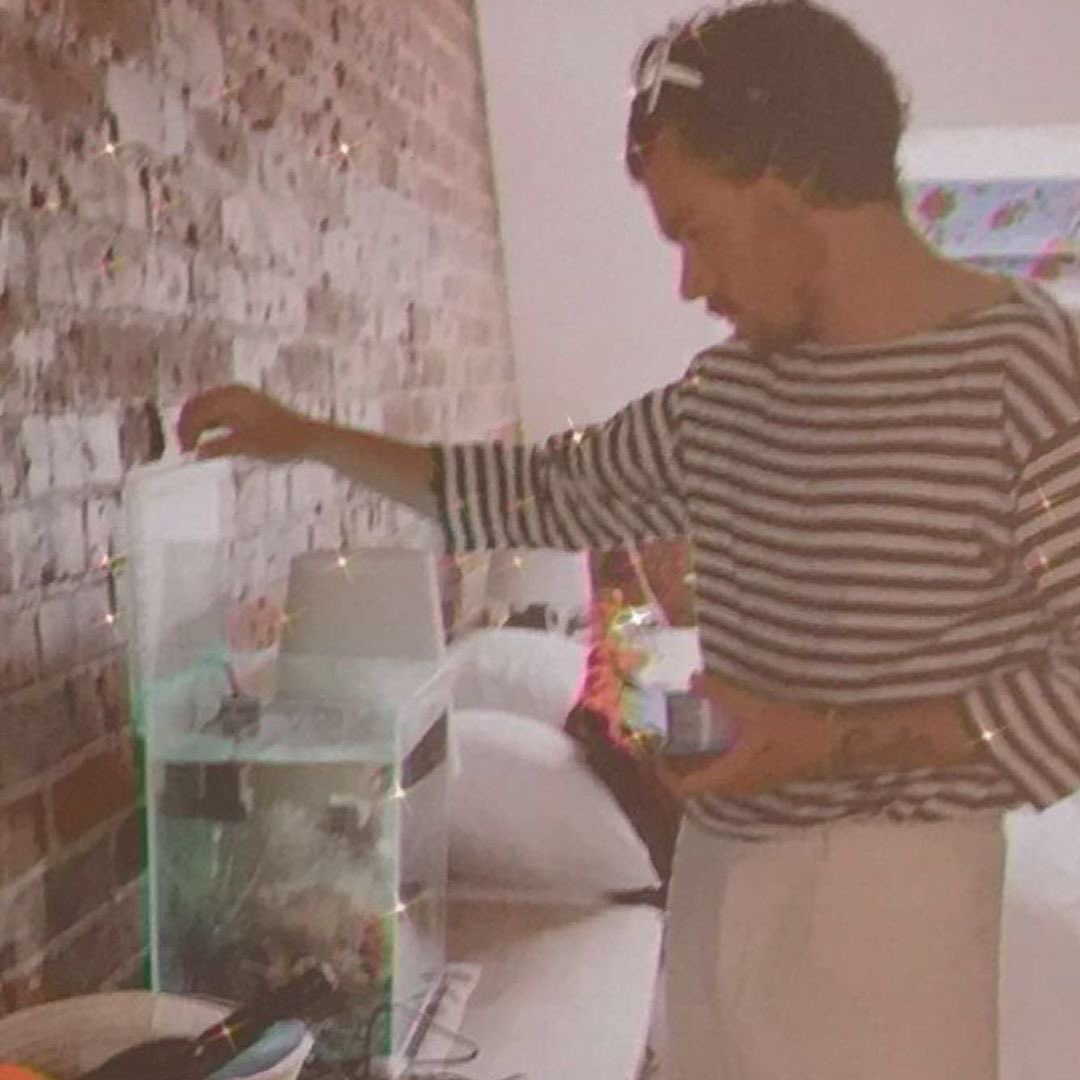 HSD💋🪩 tweet media