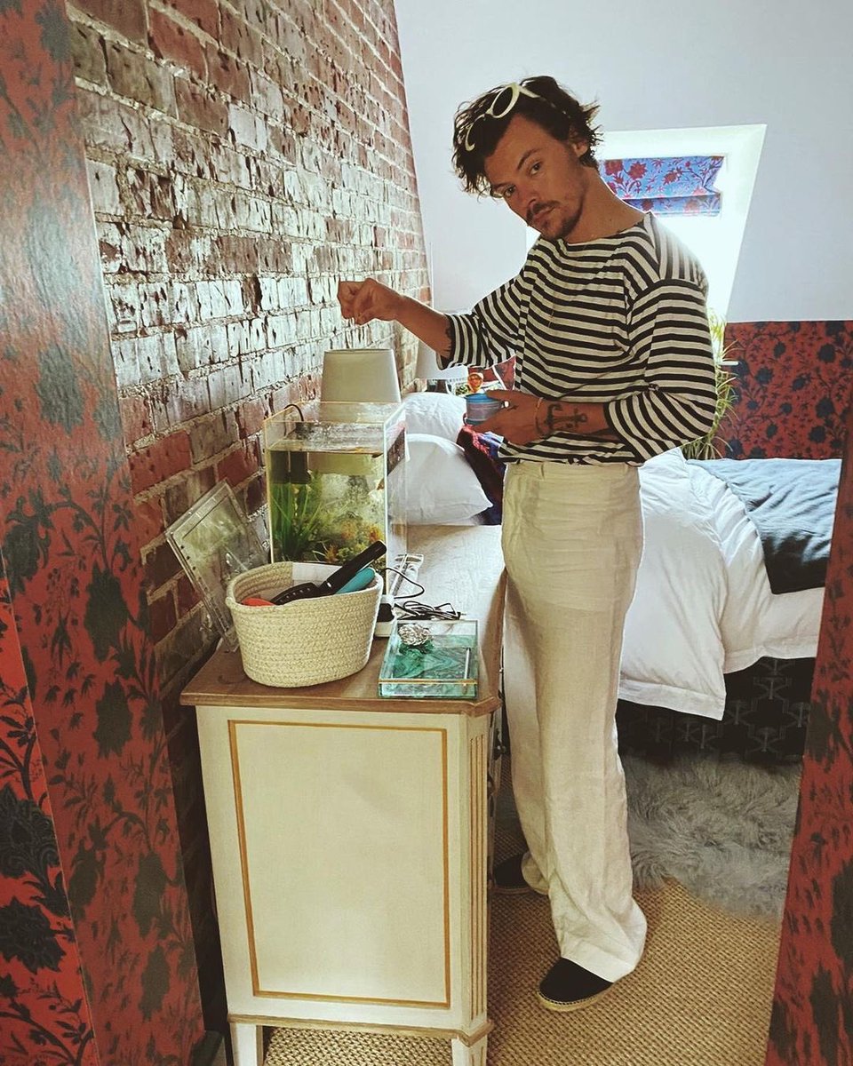 harrymoonchild's tweet photo. Harry's car broke down and a fans dad let him stay at their house and harry fed their fish I'm so endeared. Why is this such a fanfic moment. https://t.co/mVkdQpwibK
