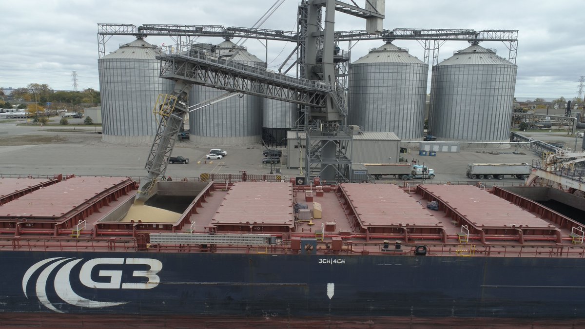 G3_Connection's tweet photo. Canadian #grain shipments through the St. Lawrence Seaway are up 20% over last year so far - that's kept our laker vessel G3 Marquis busy, seen here loading up at G3 Hamilton @HOPAports + more trucks arriving with more grain delivered direct to us. https://t.co/JuTnFU8sv7 https://t.co/iSeTBqKt2P