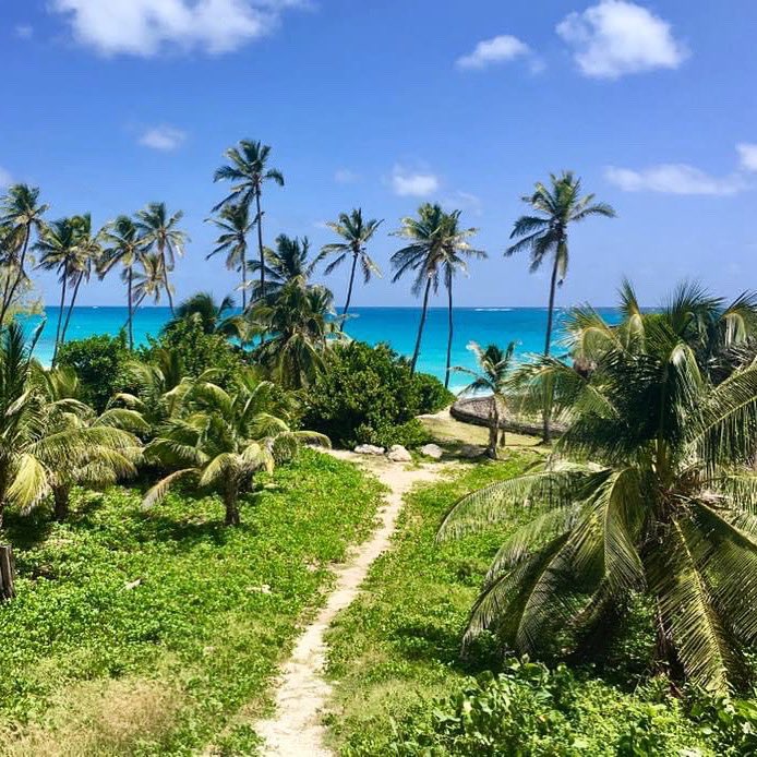 GloryTours's tweet photo. A pathway to paradise Barbados #mybarbadosadventure #barbadosbeach #beautifulbarbados #barbadostour #glorytoursbarbados #beautifulbarbadosislandtours #paradise #barbados https://t.co/6rzdQP4QVs