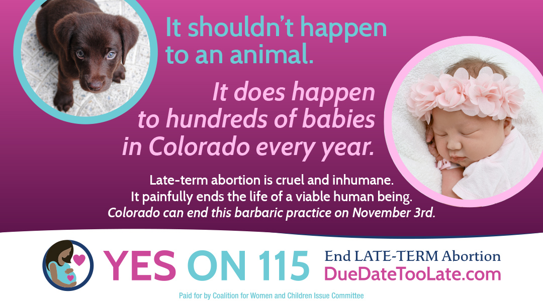 DueDateTooLate's tweet photo. #DueDateTooLate #YesOn115 #YesOnProp115 #JoinTheMovement  #VoteSiPor115 #SiALaPropuesta115 https://t.co/UtdpGy6ivn