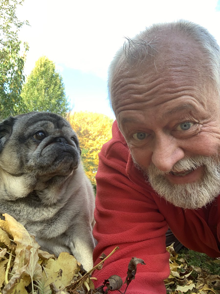Ueffcken's tweet photo. Goldener Oktober 2020 mit Mops Molle in Schwerte 🌻🌻🌻🌈 #herbst #lebensfreude #mopsmolle #uwegörkegott #hauswart #leben https://t.co/y1bpp9luua