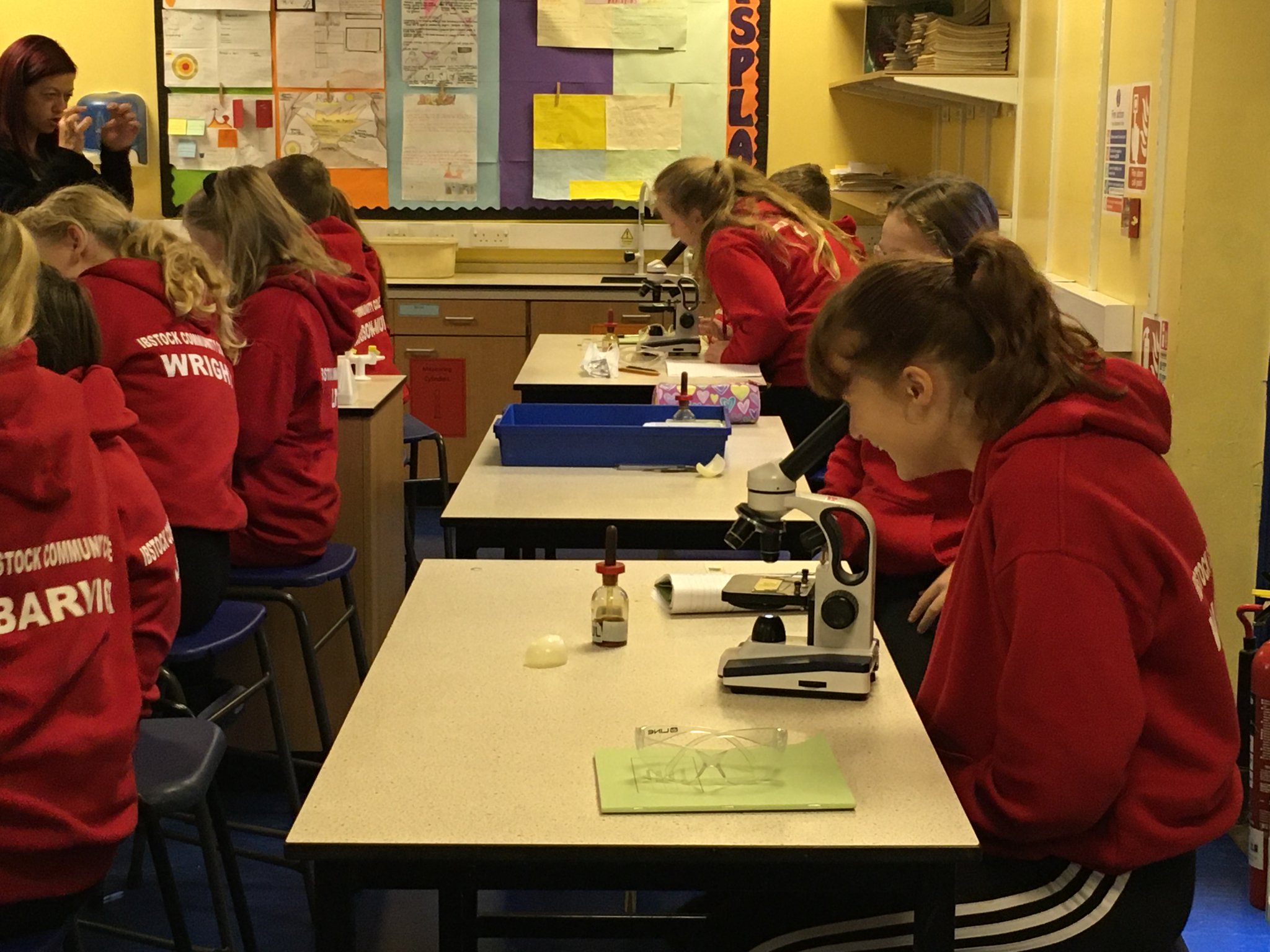 Ibstock College on Twitter "Year 7 have been observing cells in this