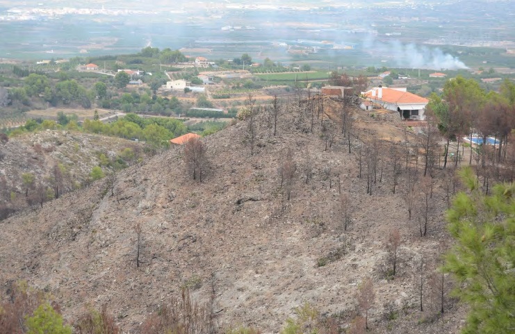DiputacioGirona's tweet photo. 🔥🏡Editem una guia pràctica de #jardineria adaptada a la prevenció d'#incendisforestals. És un document en el marc de @PoctefaCOOPEREM amb indicacions senzilles per als propietaris per crear entorns resistents al #foc, en espais públics i privats.
👉https://t.co/EKpKJnao6b https://t.co/norWNUtrrk