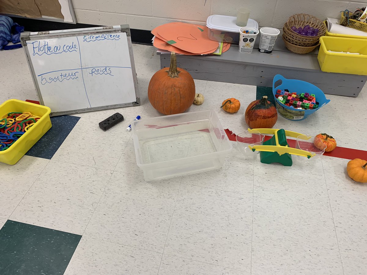 Petite enquête avec la citrouille ce matin! 
-Attente 18 : On compare la masse de différentes citrouilles, on mesure la hauteur avec mesures non conventionnelles, on mesure la circonférence 
-Attente 15 :  On fait des prédictions et des observations avant et pendant les enquêtes