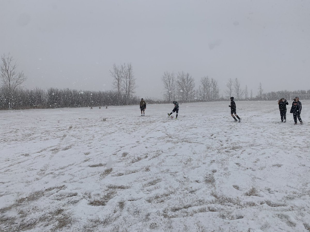 Turns out Lions don’t mind the cold!