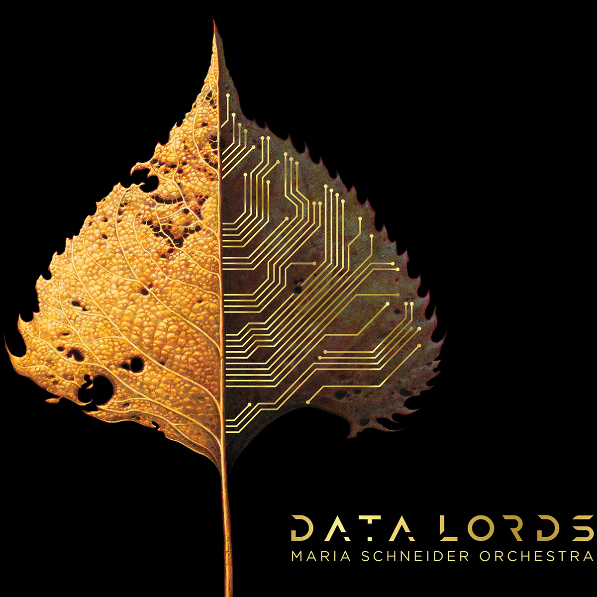 PopMatters's tweet photo. #INTERVIEW: Grammy-winning #jazz composer Maria Schneider (@schneidermaria) released #DataLords partly as an outrage that streaming music services are harvesting the data of listeners even as they pay musicians so little that creativity is at risk.
https://t.co/acG9EZr06W https://t.co/mFv2lKwGmA
