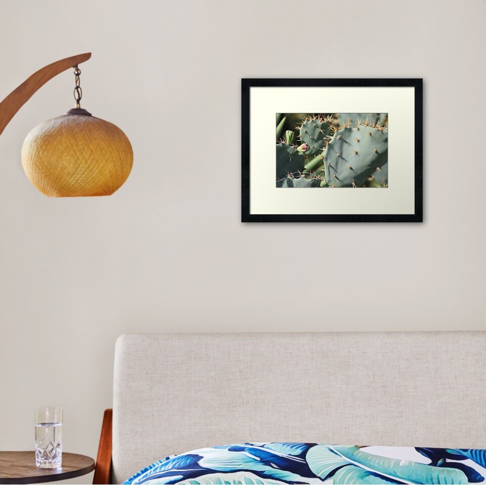 Cactus Photograph Print from Original Picture, Let me know what you think. Always welcome suggestions for future prints. redbubble.com/i/framed-print… #cactus #desert #nature #photography #print #photoprint #forsale #share #ooaklife
