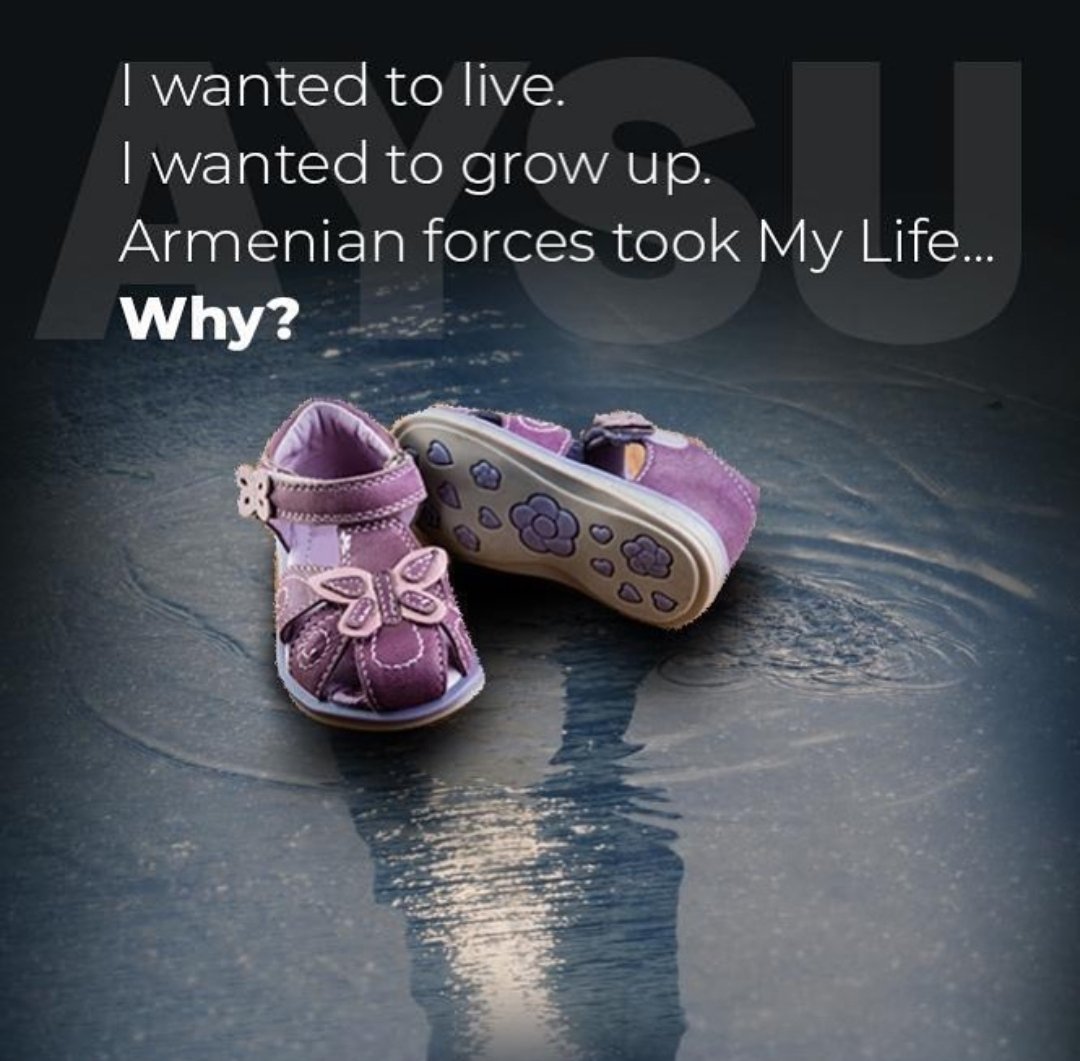 Armenia attacked to Barda where is not war area too. There are 20+ dead, 70+ injured people because of attacking. Children are dying, why they can not grow up? We are innocent, World still don't turn blind eyes to this atrocity #PrayForBarda #StopArmenianAggression