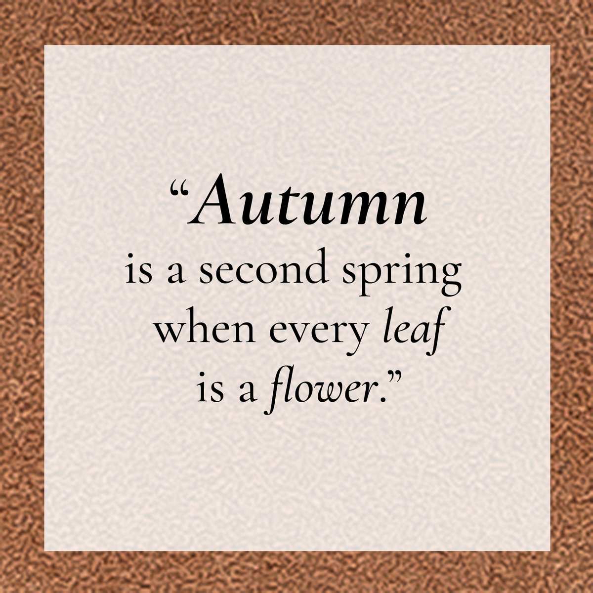LINEAPaoloShoes's tweet photo. #WednesdayWisdom | "Autumn is a second spring when every leaf is a flower." 

We're closed for our annual inventory and will be counting shoes all week, but you can still shop our FW20 styles at: Nordstrom | https://t.co/NqsvfBiS4N 

#lineapaolo #lineapaoloshoes #pumps #booties https://t.co/MWEnDPYNme