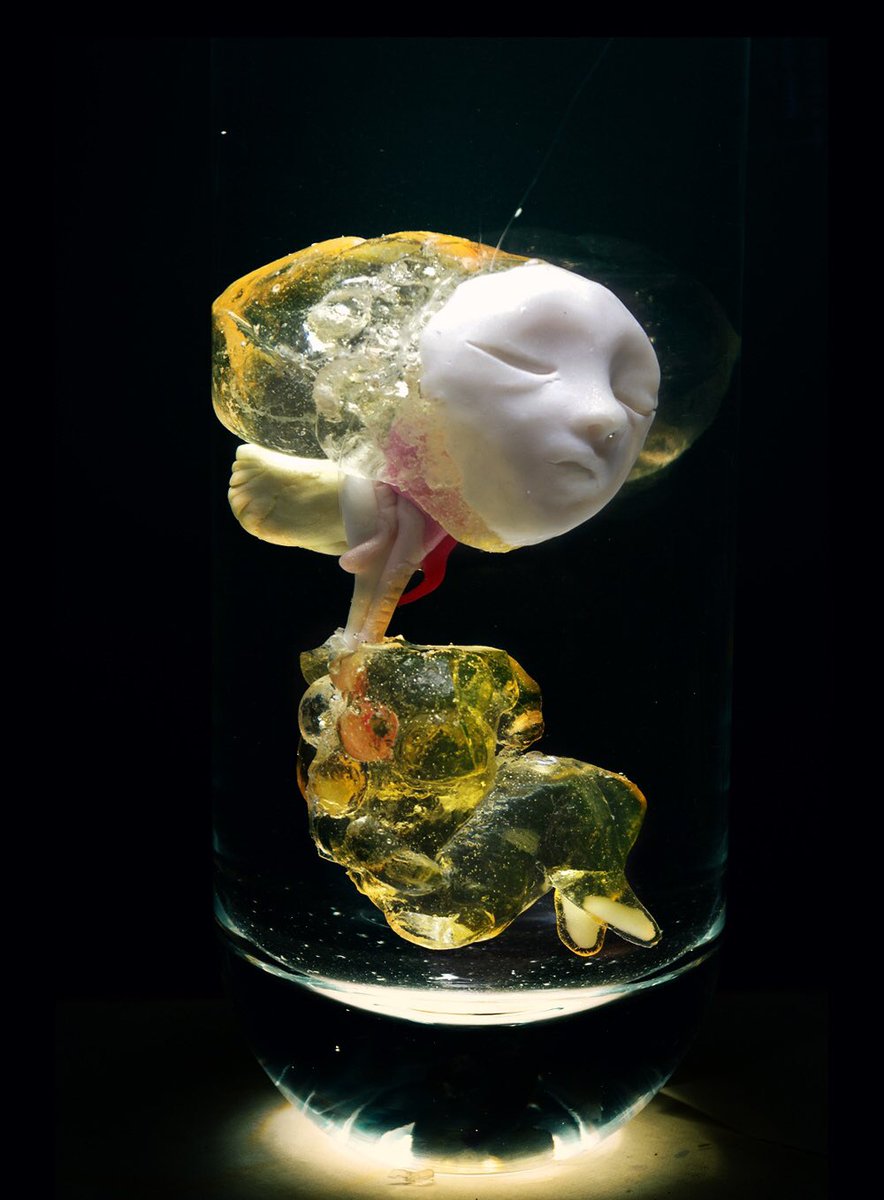 Interdisziplinäre Kunst ist ihr Markenzeichen; Pinar Yoldas Werk "Designer Babies" behandelt die fortschreitende Optimierung des Menschen und ist ab dem 18.11. in der Ausstellung „Back To Future“ zu sehen! (c) Pinar Yoldas, Designer Babies, 2013 #mfkBackToFuture #mfk_frankfurt