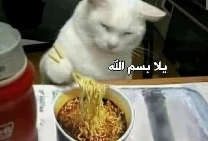 arabmemesss's tweet photo. قد لا تتناول بسبب كلمه قالها احدهم وهو يمزح
انا بعد ٣٠٠ كلمه قالها احدهم: https://t.co/uIx6kOJeNL