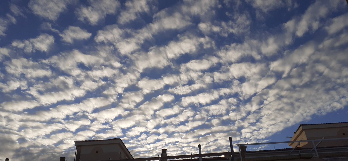 JuanCarpzmol's tweet photo. Buenos días! 8.11 h @1967fct
@anamaria190977 @bercutero @meteo_fuensanta @javioru @Mariche_C @Beatrizxy @coko9718 @josep_pujol1 @llamp_ @PeinadoArias @MeteoPuertoViej @mercedeshosg @xusvalencia @HARROW_h @PresumodeMalaga #sunset #sun_rays #nubes #dawn #amanecer https://t.co/twOReKZYGE