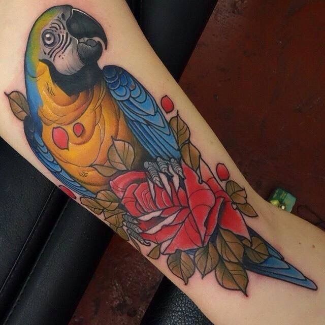 Shirley Liang on Instagram Green cheeked conure started on Hellens thigh  piece Happened to work out that some of  in 2023  Animal tattoos Parrot  tattoo Cute tattoos