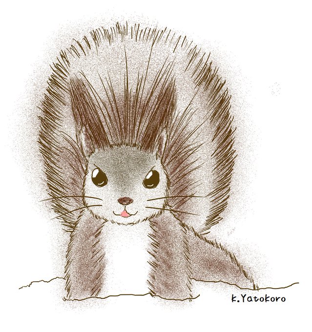 エゾリスのtwitterイラスト検索結果