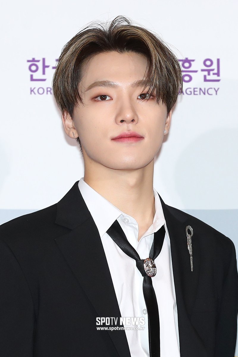 ì›ìš°ì˜ On Twitter 2020 Korean Popular Culture And Arts Awards Red Carpet Pledis 17 Seventeen ì„¸ë¸í‹´ Dino ë