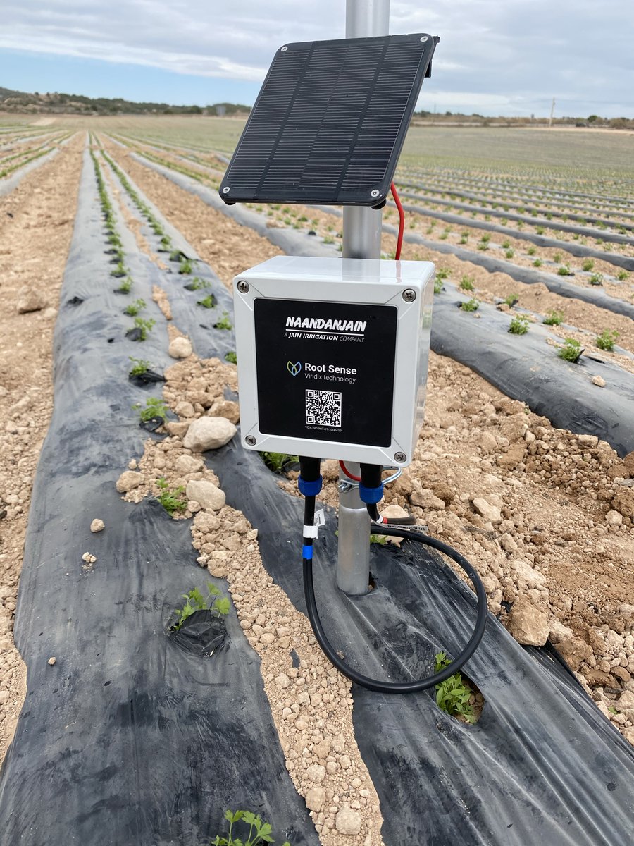 NaanDanJainES's tweet photo. Instalación de #Rootsense en finca de perejil de @grupo_lucas en Murcia. 
Mayor eficiencia en el consumo de agua, recurso aún más limitado en esta zona. 
El control continuo de la disponibilidad de agua en suelo es una fundamental en estas circunstancias.
https://t.co/Na1SJ0Xsoh https://t.co/Jwygugiwcj
