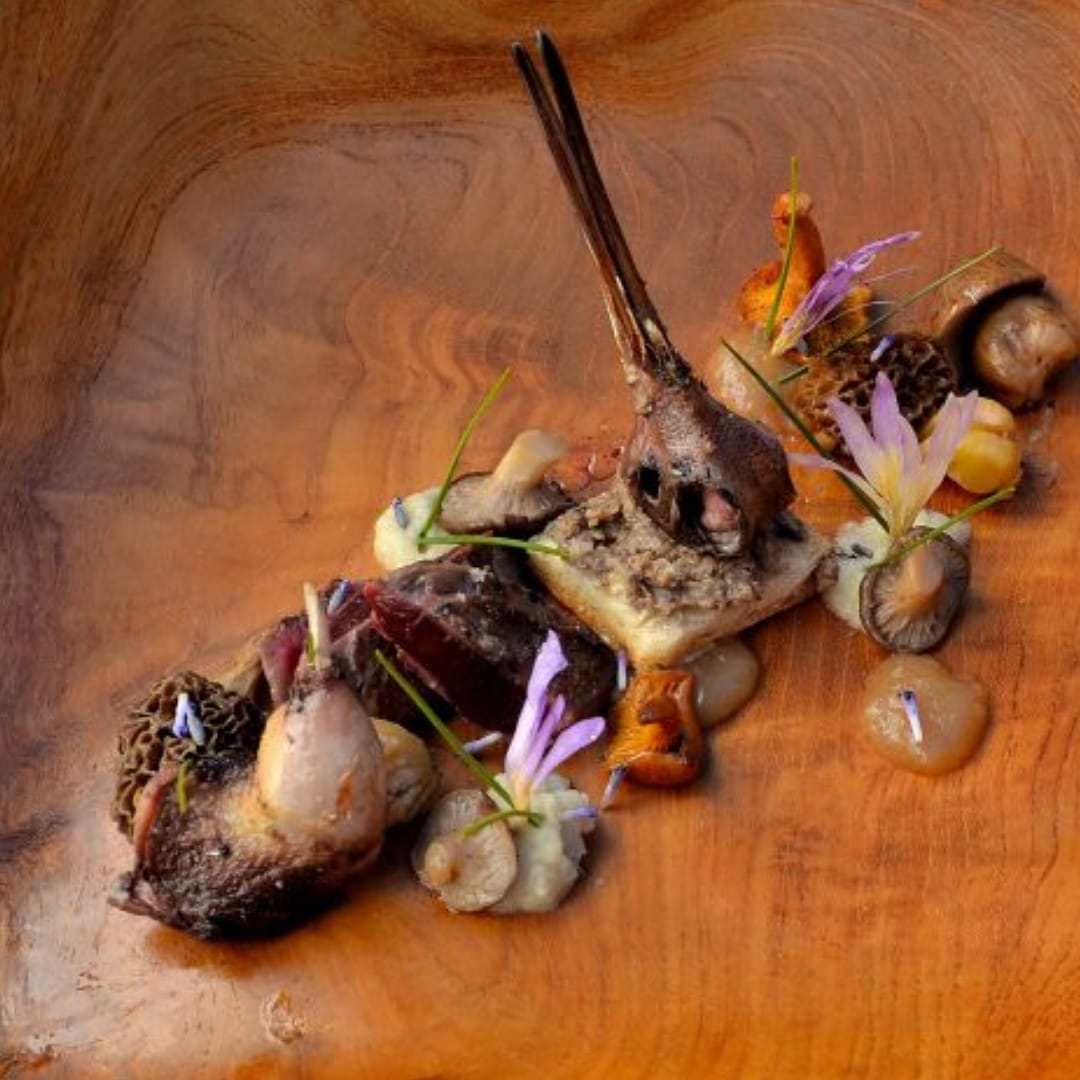 #CocinandoCaza @nacho_rojo_chef @elpolison #RecetaCompleta #AltaCocinaAlAlcanceDeTodos #CarneDeCazaSiempre

¿¿¿¡Te atreves!??? 📝👇
EL BOSQUE DE INVIERNO: BECADA, CASTAÑAS, APIONABO Y SETAS EN COCOTTE
Sigue leyendo: 👇👌
cocinandocaza.es/el-bosque-de-i…
#ParaChuparseLosDedos
#CarneDeCaza