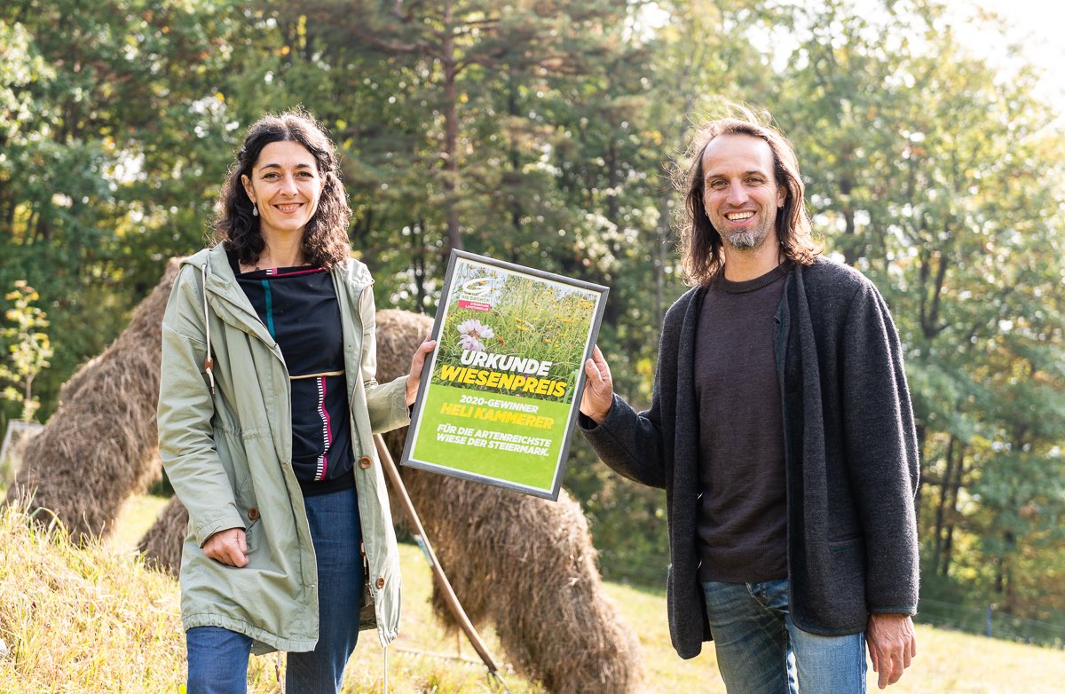skrautwaschl's tweet photo. 💚👏🏻💐 Unser #Wiesenpreis für die artenreichste Wiese der #Steiermark geht nach #Stattegg ➡️ https://t.co/DJyTRRINtl https://t.co/87vkQTS32a
