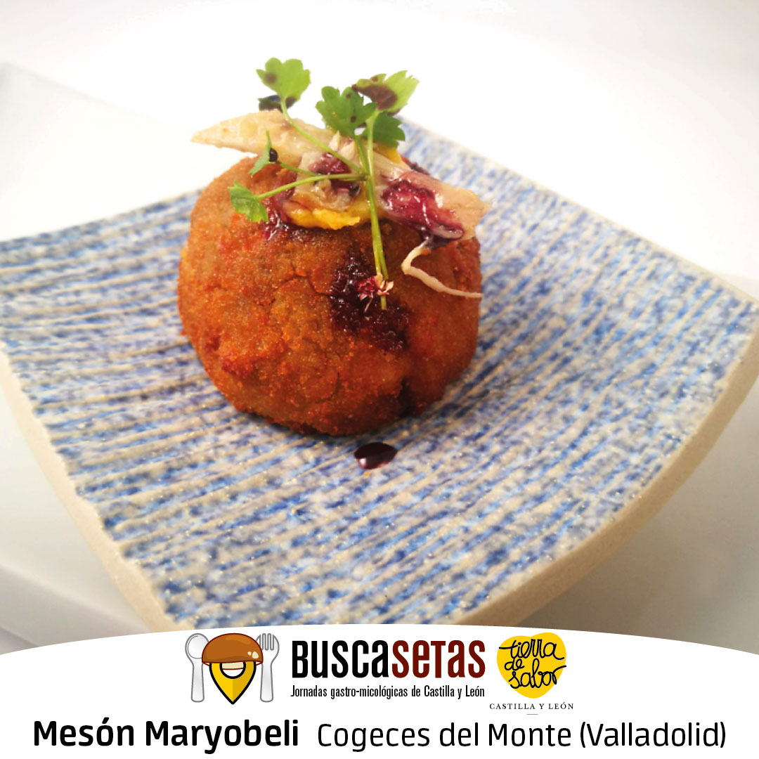 Buscasetas_CyL's tweet photo. 450 recetas micológicas gracias a la generosidad de los muchos y buenos cocineros y cocineras de #CastillayLeon. @buscasetas @tierradesabor ➡️https://t.co/xDHOpZ5MZq #recetas #recetario #setas #gastronomia #micologia #jornadas https://t.co/RaEst9JrWq