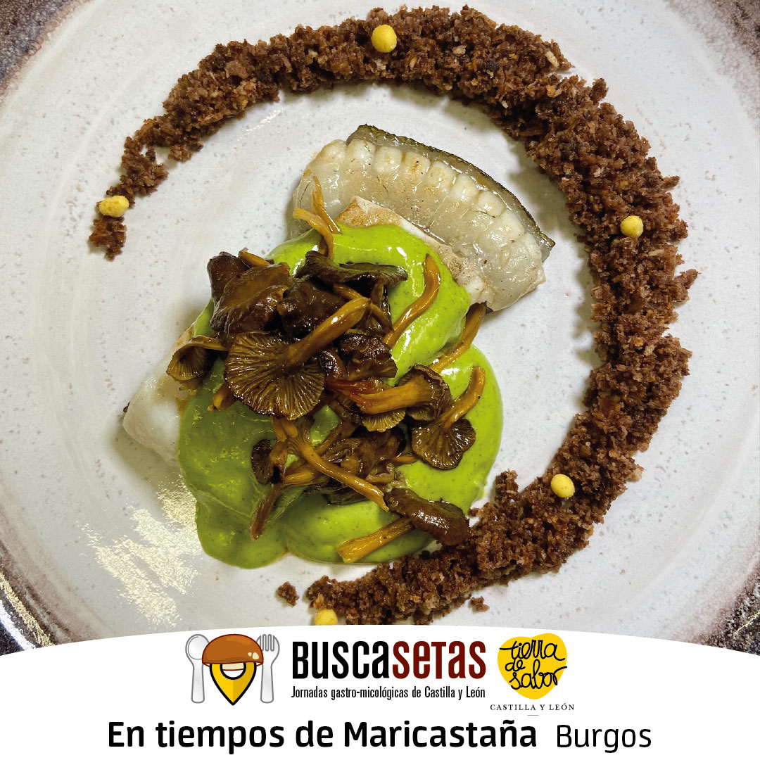 450 recetas micológicas gracias a la generosidad de los muchos y buenos cocineros y cocineras de #CastillayLeon. <a href="/buscasetas/">BuscaSetas</a> <a href="/tierradesabor/">Tierra de Sabor</a> ➡️ow.ly/lBSk50C226H #recetas #recetario #setas #gastronomia #micologia #jornadas