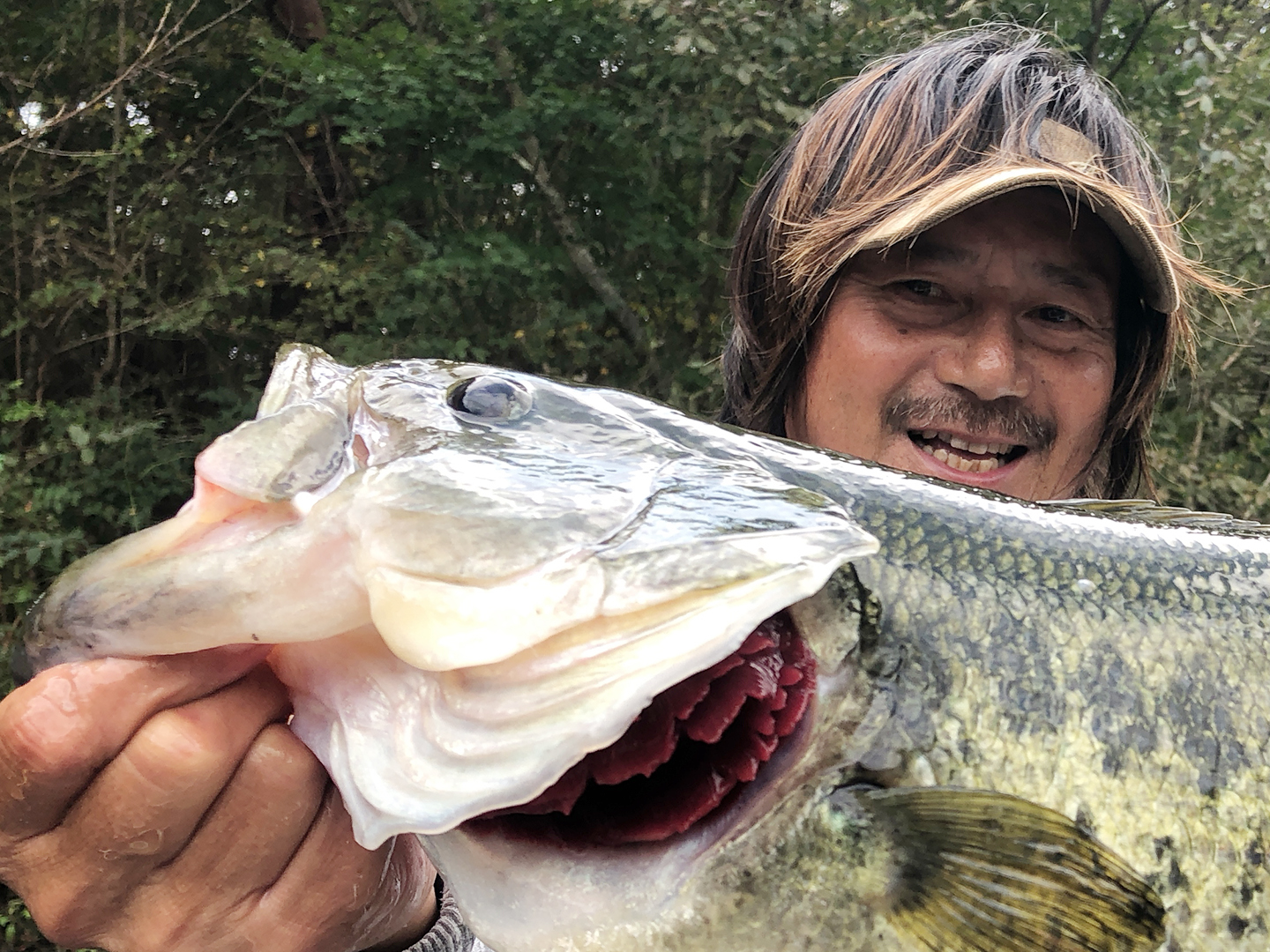 釣りビジョン ナチュラルハイランドレイク 山梨県 西湖 極太の ビッグフィッシュ を 引きずり出せ Go For It 174 田辺哲男 放送は 11月10日火曜21時から 釣りビジョン 釣り フィッシング Fishing 釣りビジョンみてね T Co