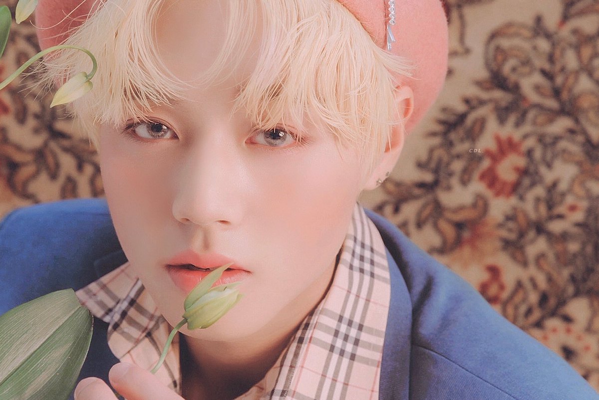 오월의 달빛 tweet media