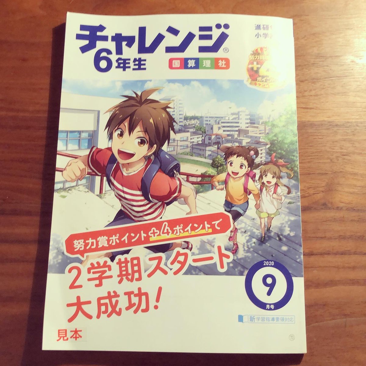 進研ゼミ小学講座 チャレンジ6年生 9月号にいろいろ挿絵を描きました。 