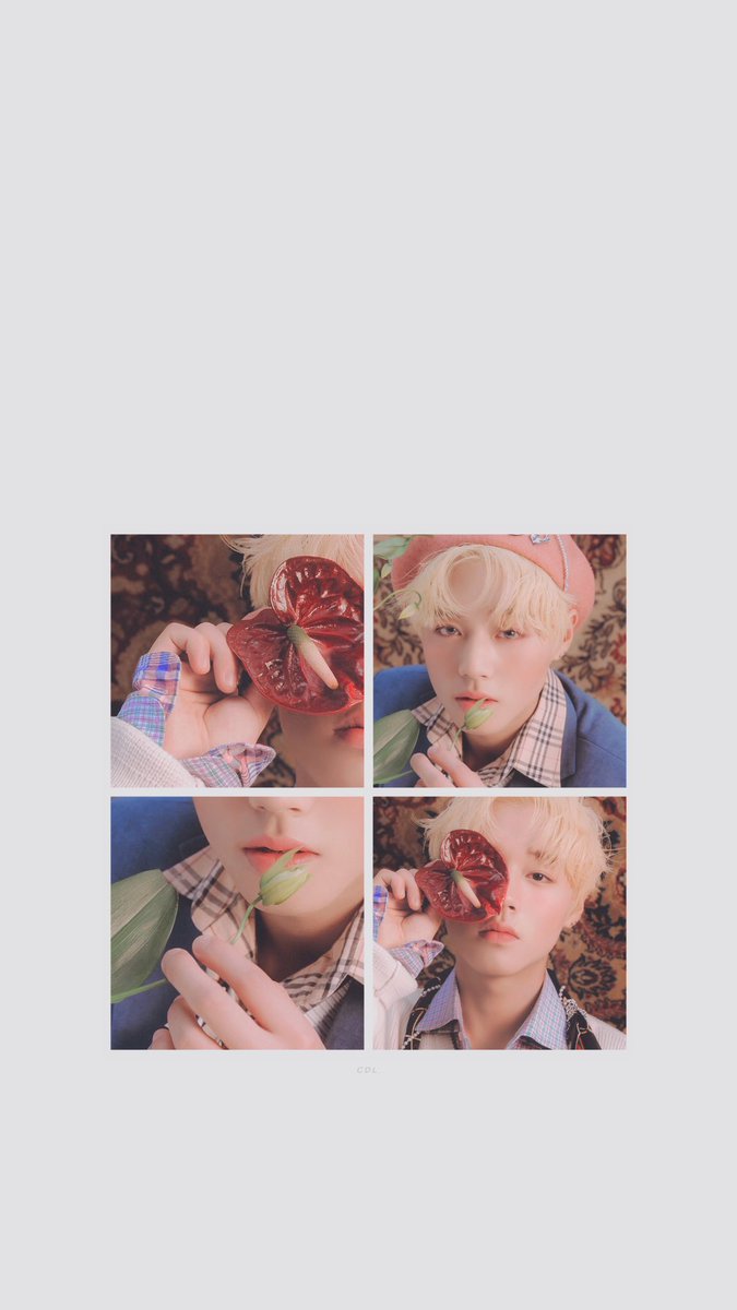 오월의 달빛 tweet media