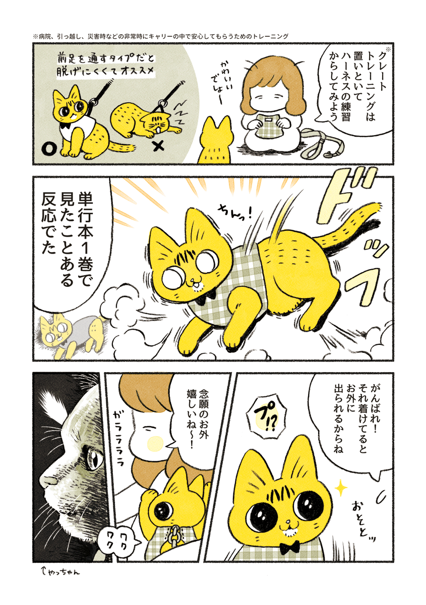 やっちゃんと避難訓練 