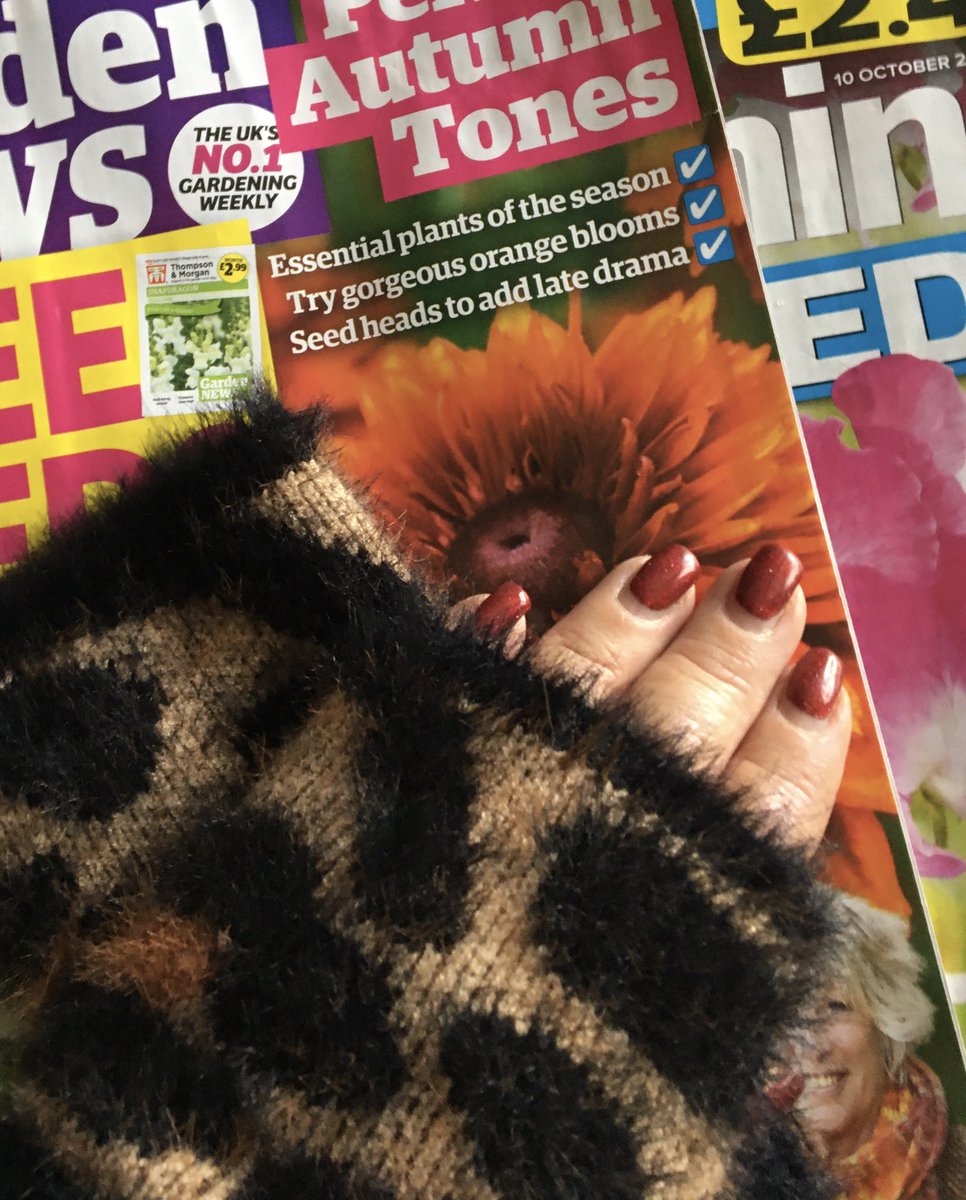anniean73967235's tweet photo. #Furry #HandWarmers #kindaday 🎃🍁🍂🍁🎃 https://t.co/jhNrerYNHg