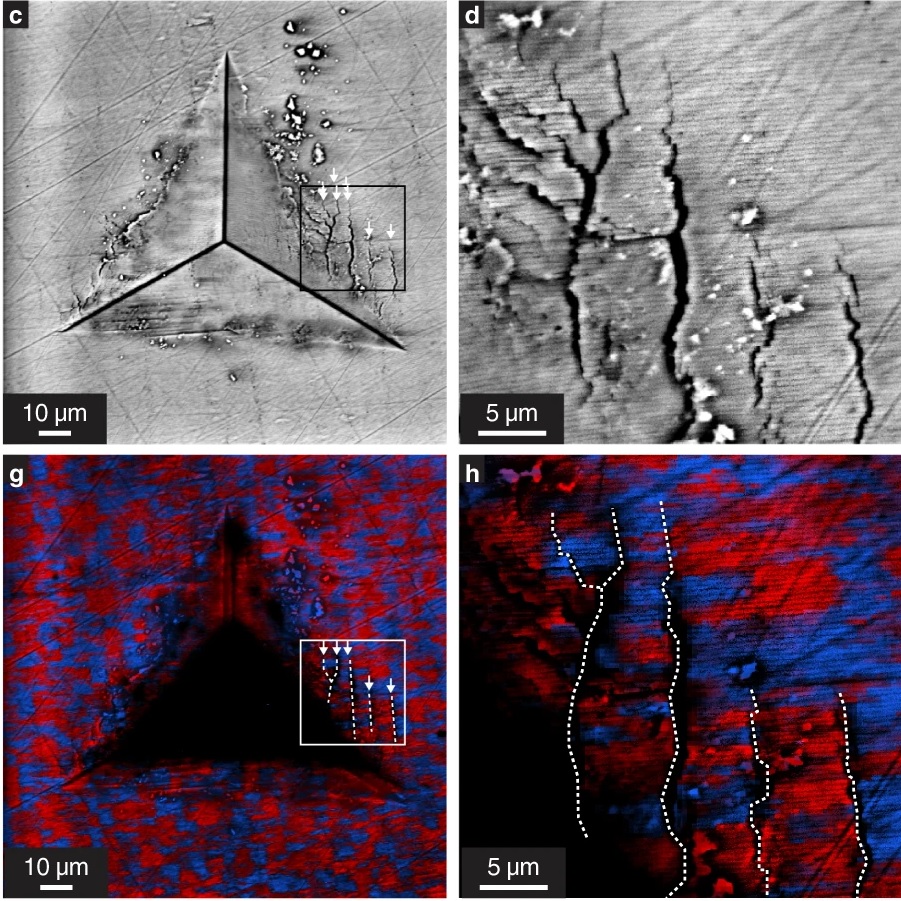 DivouxLab's tweet photo. Just on time for the 2nd lockdown: our work on #nacre toughening is now online! https://t.co/x3diAzCNAi Lovely collab. lead by @loh_chad  correlating piezo-#Raman and micro-#indentation! cc @INP_CNRS @CNRS @MIT_CEE @mit @UCBerkeley @UNSWEngineering @UWMadisonEP @BerkeleyLab https://t.co/tLSPTtsldy