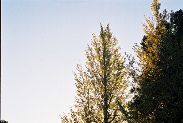 kg_hyp's tweet photo. いい季節!!!秋さいこー!!
.
#フィルムカメラ #フィルム写真
#filmphotography #film
#ファインダー越しの私の世界
#OLYMPUS #om2sp
#35mm #秋 #紅葉 https://t.co/3bzI5FJ2fq