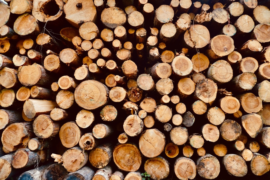 IEABioenergy's tweet photo. Studies found that long-distance transport doesn't negate the climate benefits of #biomass as a #renewableenergy source. GHG emissions associated with transporting pellets between North America &amp;EU represent  5% of the life cycle GHG emissions of hard coal https://t.co/6jakZzPgzV https://t.co/ADimg71AKA