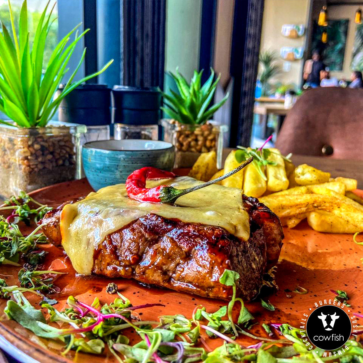 CowFish_Za's tweet photo. Our new Chilli Cheese Teriyaki Melt Rump got the stamp of approval from Lauren Celestino- "Best rump steak I have tasted so far hands down! Compliments to the chef, he cooked it to perfection!" ⭐️

#CowfishZA #Hazelwood #PretoriaRestaurants #RumpSteak https://t.co/jkqYklHfiO