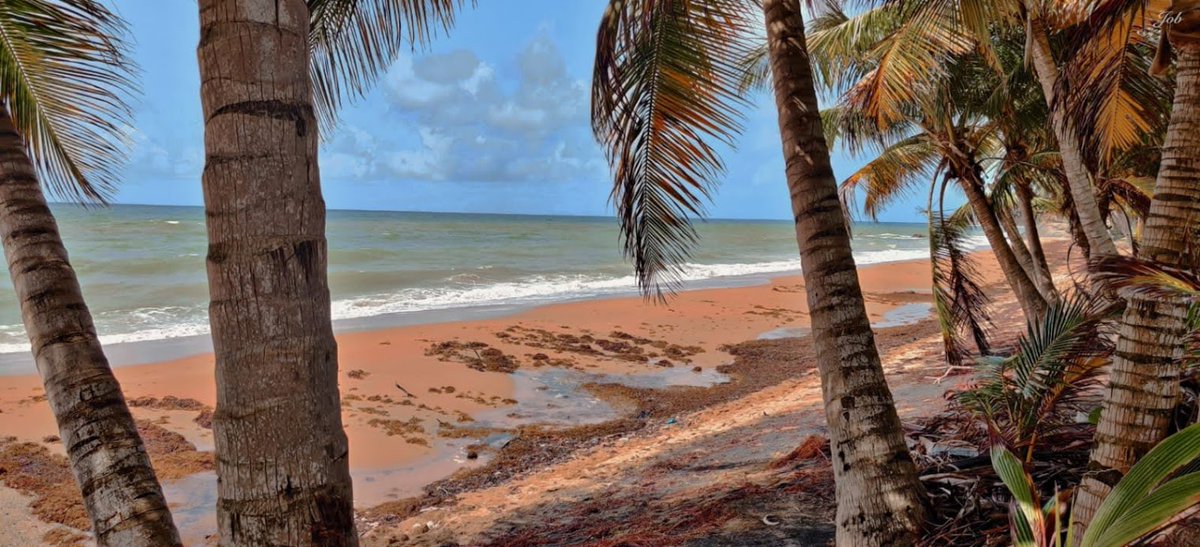 Buenos días #Maunabo
Ser líder no es mandar, es saber servir y dirigir a los demás con propósito y amor...
#Seguimos #LaExperienciaCuenta