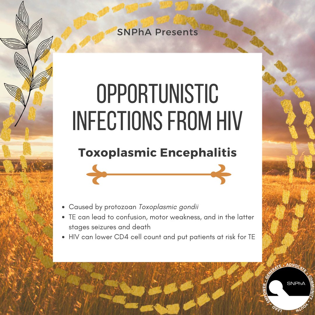 MichiganSNPhA's tweet photo. Did you know patients with HIV can develop opportunistic infections due to immunosuppression by the virus? Here are some medications for OI prophylaxis that require dose adjustments in patients with kidney disease.

#OurJourneyContinues https://t.co/x6BwjCXVdU