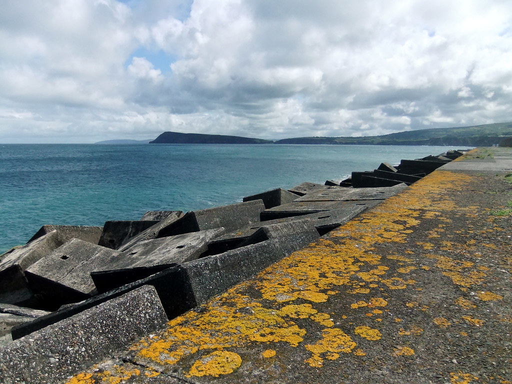 ecostructure_'s tweet photo. DYK: shorelines hardened with artificial structures have up to 45% fewer species than natural ones in similar locations!
Thanks to @earthislandjrnl for featuring our work to #ecoengineer coastal structures to behave more like natural rocky shores.
*β£https://t.co/30o5N2nWs6 https://t.co/eMBQhcFp9F