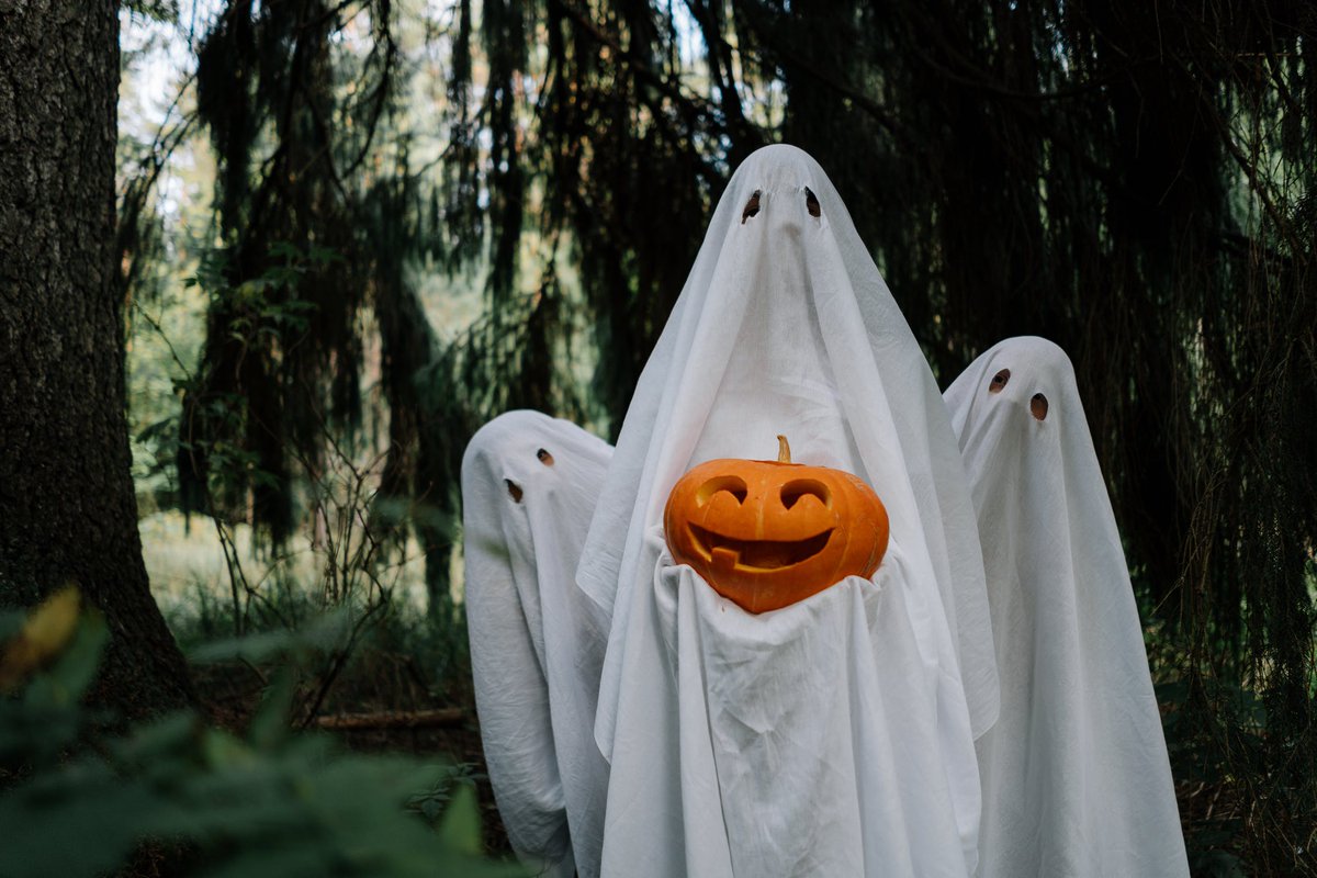 Phishing scams can be like ghosts – some are more transparent than others. 

If you have received an email you’re not quite sure about, forward it to the Suspicious Email Reporting Service.

ncsc.gov.uk/information/re…

<a href="/NCSC/">NCSC UK</a>