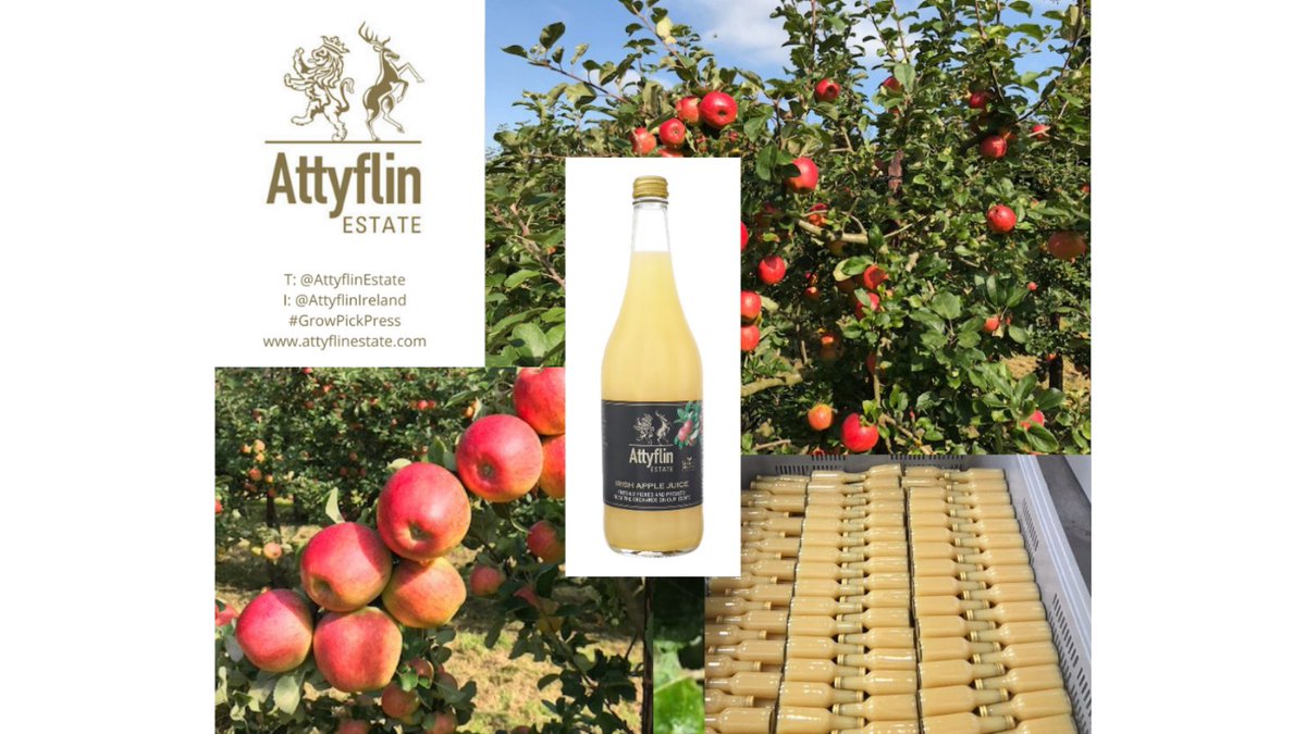 attyflinestate's tweet photo. In September we captured images of the beautiful cevaal apples growing on the trees in our orchard.
They are now harvested, pressed & bottled to create the next batch of #Attyflin Estate Irish Apple Juice - on the shelves very soon!
#growpickpress
#budtobottle
#ThisisIrishfood https://t.co/QGHsPwZaYh