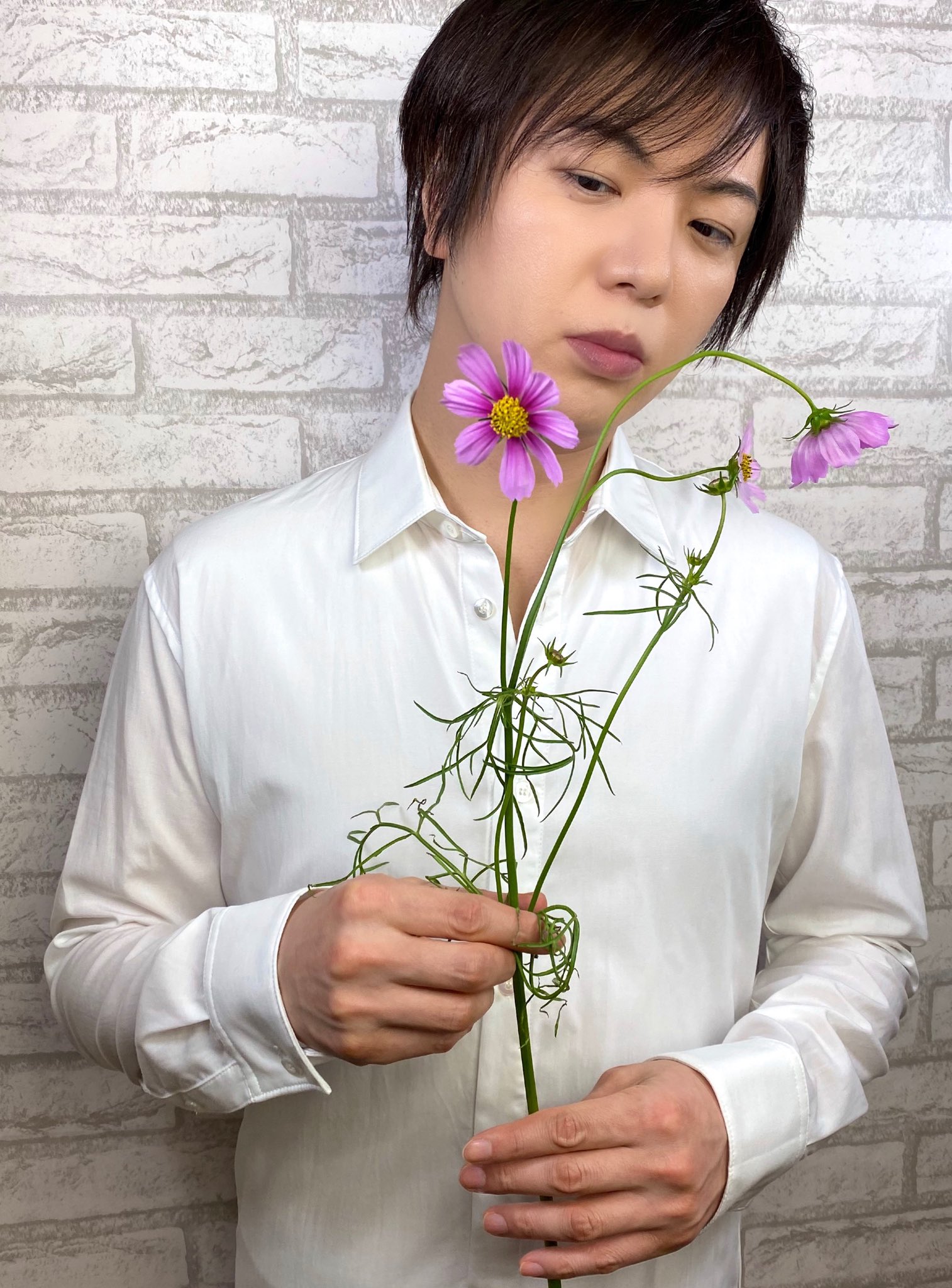 تويتر 竹島宏スタッフ 公式 على تويتر コスモス ピコティ 花言葉は 純情 乙女心 まごころ 花言葉にぴったりな とても可愛いピコティ 風に揺れる美しさも格別 今日も１日お疲れ様でした ひろネット 花便り 花言葉 花のある暮らし 花を贈