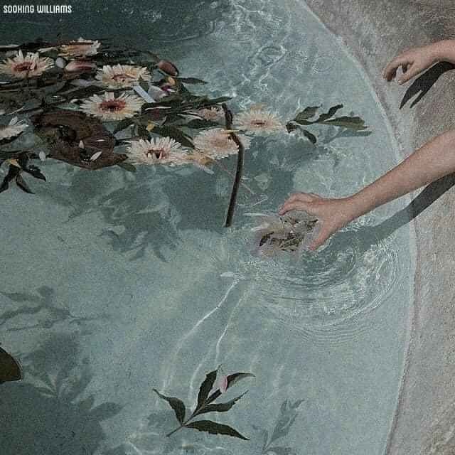 𝑇𝑒𝑛🌸 DESATIVADO (@t3nar0n_) on Twitter photo 