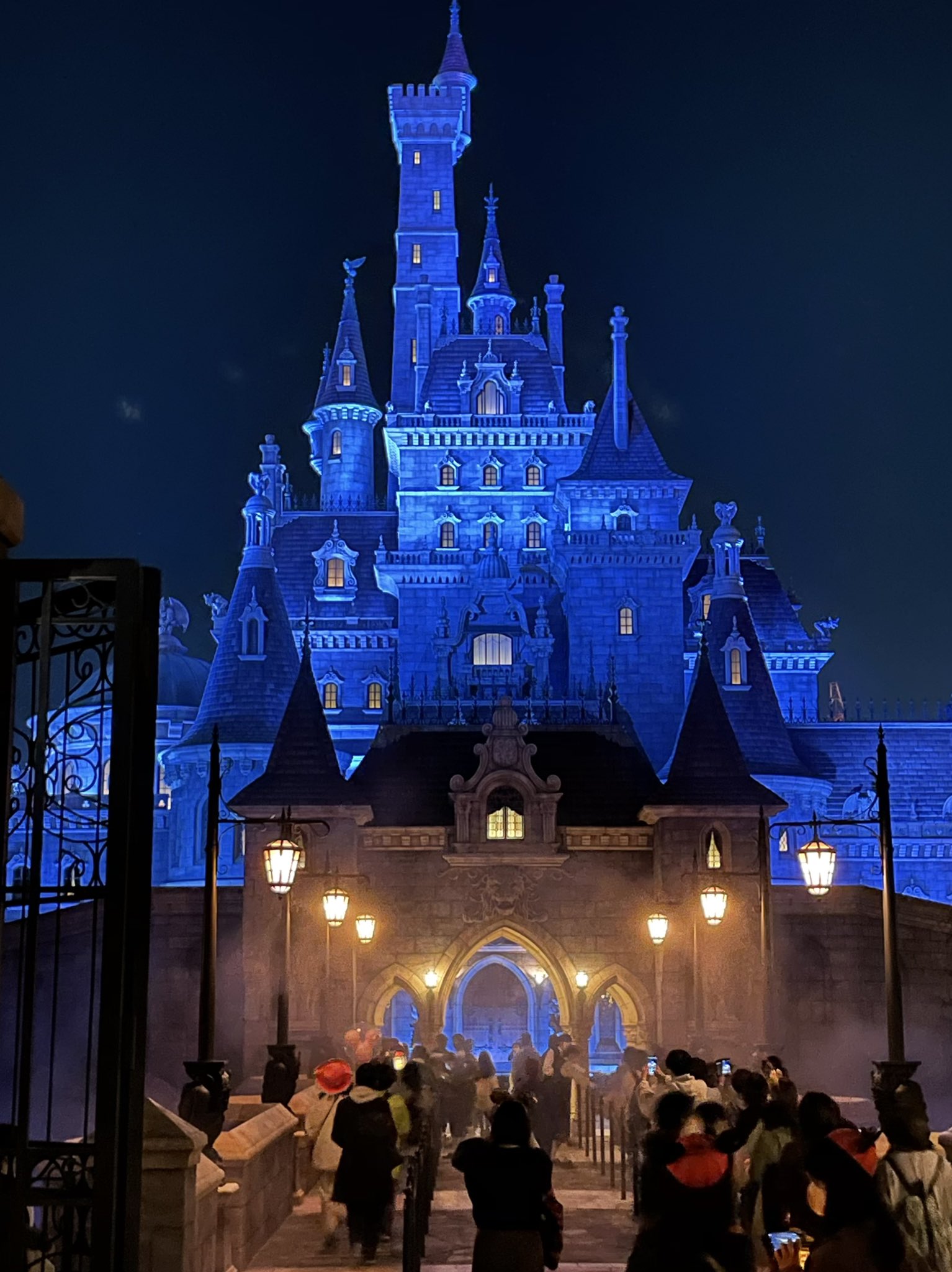 Key坊 Pa Twitter 新しいiphone 夜の写真が綺麗ってのと広角が楽しい 美女と野獣エリアの背景の山がリアルだった Iphone12 ディズニーランド シンデレラ城 美女と野獣 T Co Jmikwevmbo Twitter