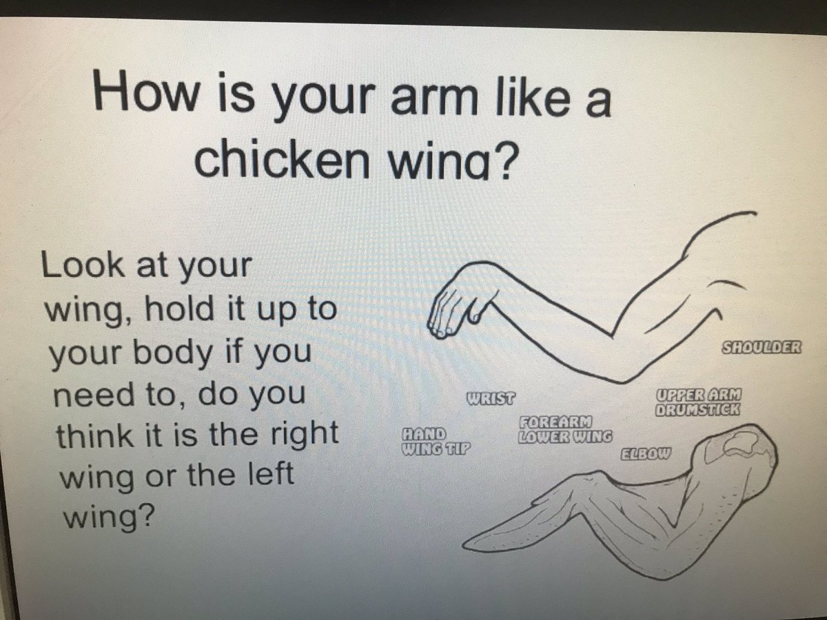 #1DCCS #CHARGERPRIDE #ANATOMY How IS your arm like a chicken wing? Anatomy students used a chicken wing dissection to model the human arm learning about joint movements and the roles of muscle, bone, tendon, ligament, and cartilage.